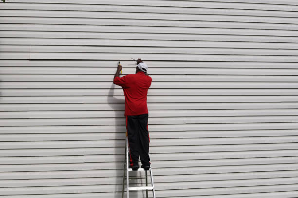 Best Custom Trim and Detailing for Siding  in Brewerton, NY